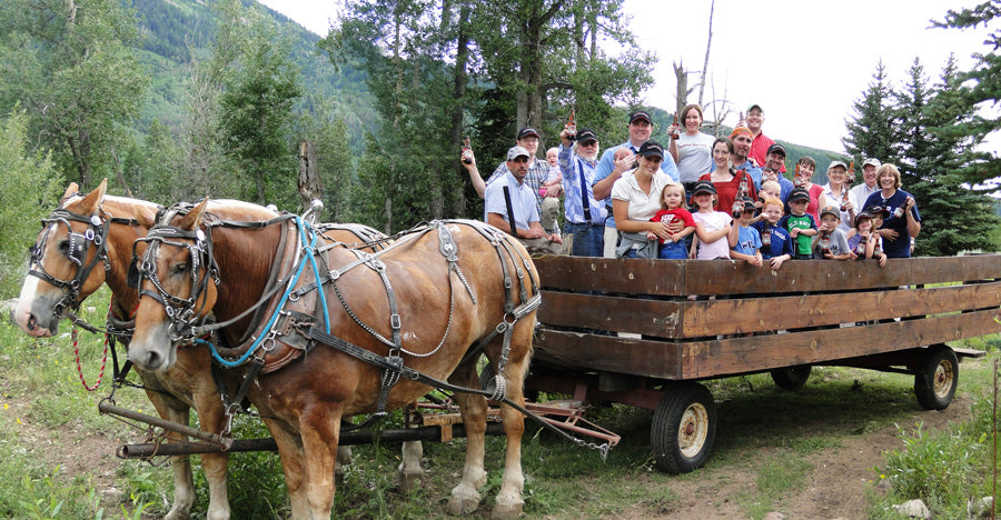 Two brown horses pulling a wooden cart with people on a trail in a forested area.